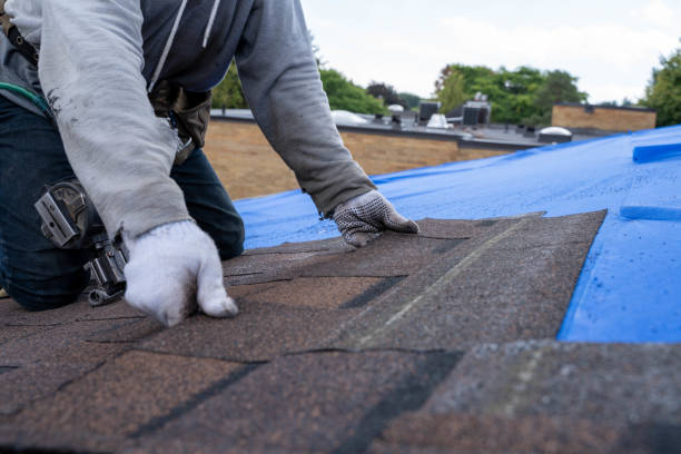 Best Flat Roof Repair Services  in Kearney, MO